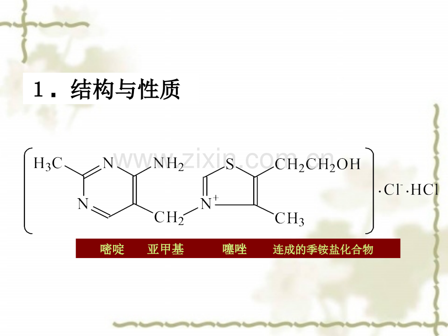 维生素B的测定.ppt_第2页