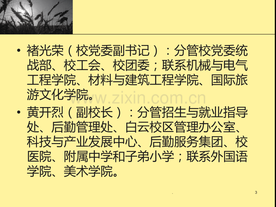 学校组织结构PPT课件.ppt_第3页