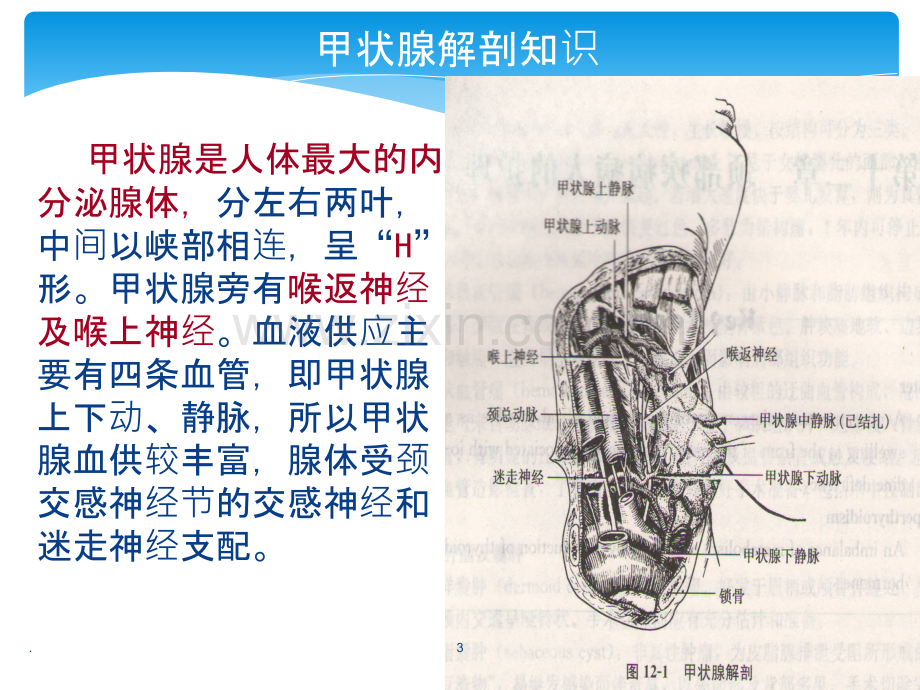 甲状腺癌术前术后护理ppt课件.pptx_第3页