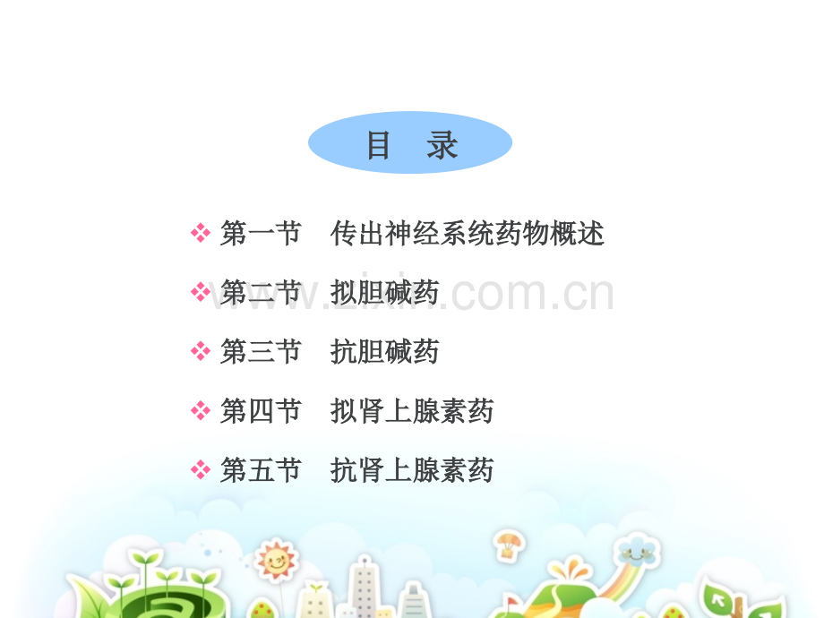 传出神经系统药物ppt课件.ppt_第2页