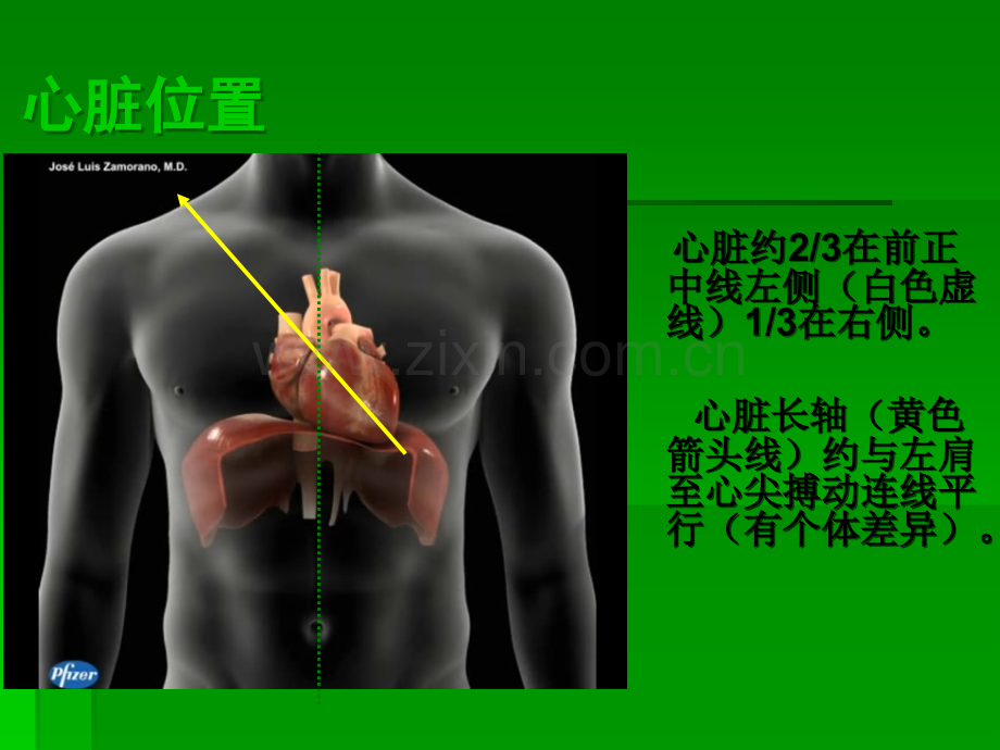 超声心动图常用切面的打法图解ppt课件.ppt_第2页