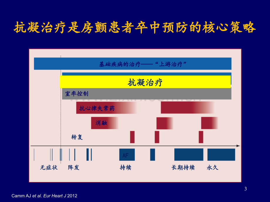 房颤抗凝治疗指南解读PPT课件.ppt_第3页