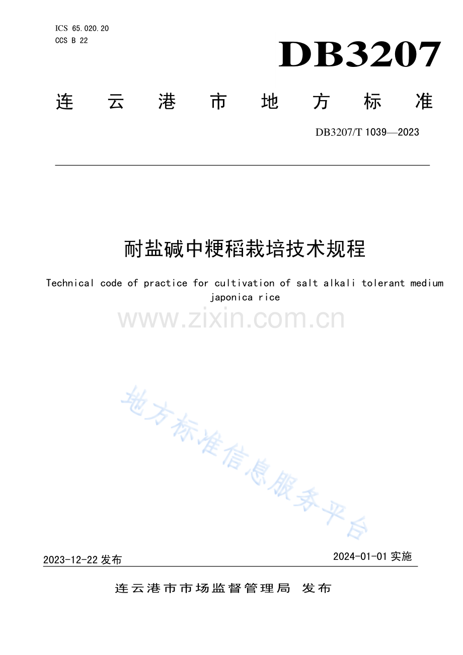 DB3207T1039—2023耐盐碱中粳稻栽培技术规程.pdf_第1页