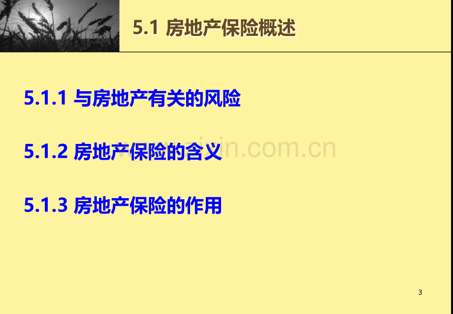 第五章房地产保险PPT课件.ppt_第3页