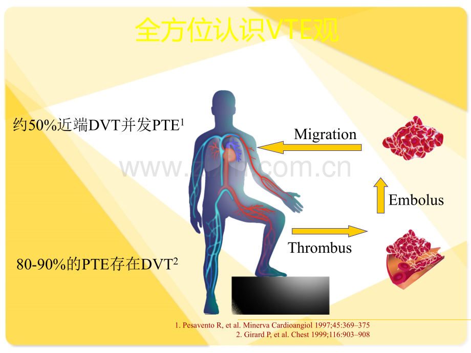 恶性肿瘤与静脉血栓栓塞症王辰教授北京ppt课件.ppt_第3页