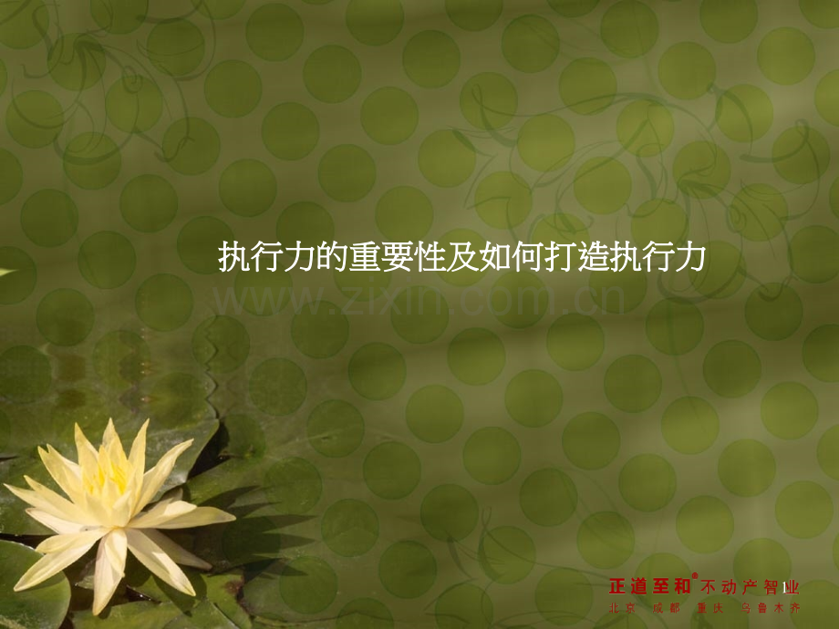 执行力的重要性及如何打造执行力PPT课件.ppt_第1页