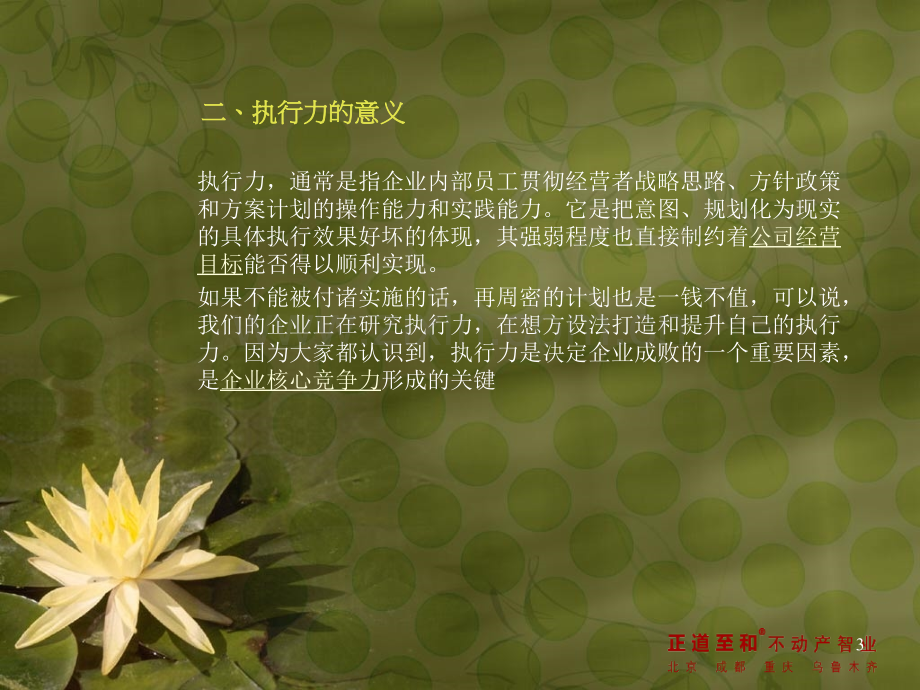 执行力的重要性及如何打造执行力PPT课件.ppt_第3页