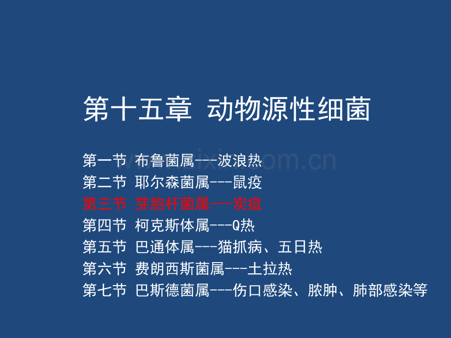 动物源性细菌ppt课件.ppt_第1页