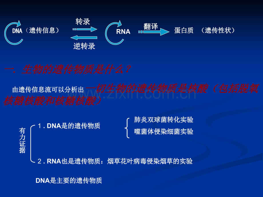 遗传和变异专题复习ppt课件.ppt_第3页