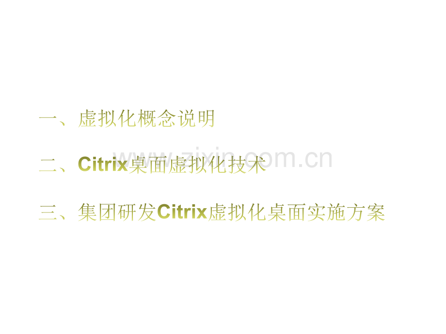 citrix桌面虚拟化培训教材.ppt_第2页