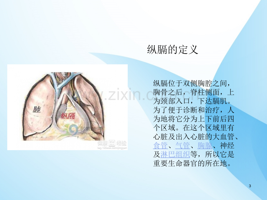 纵膈肿瘤ppt课件.pptx_第3页