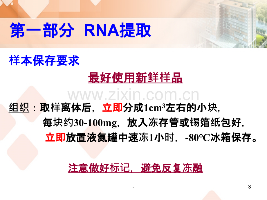 RNA提取及PCR相关技术PPT课件.ppt_第3页