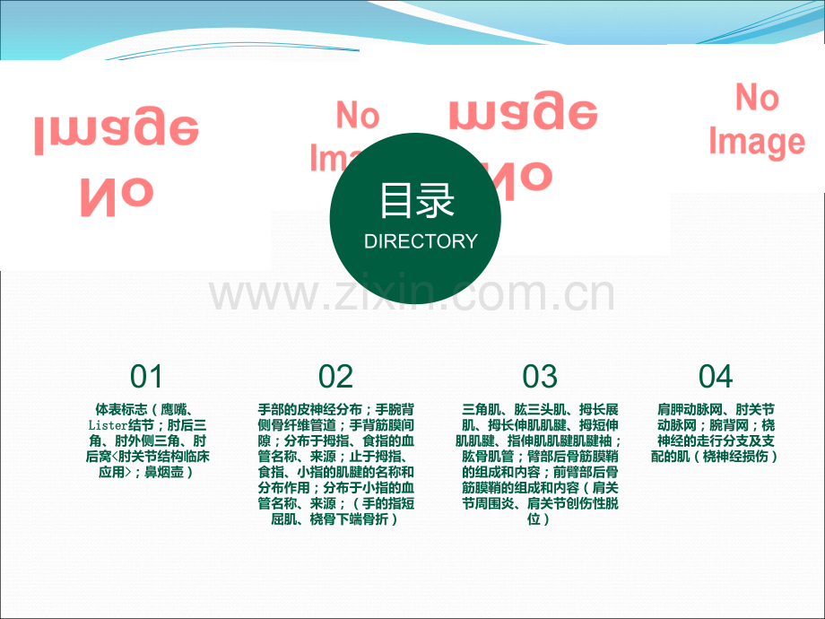 上肢ppt课件(1).pptx_第2页