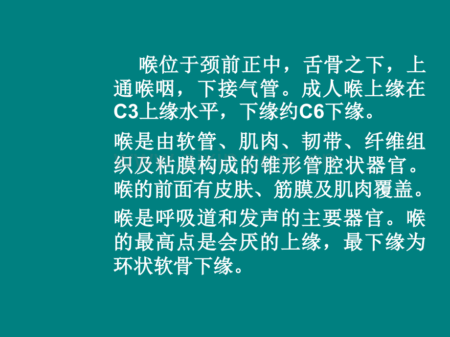 位于舌骨与甲状软骨之间.ppt_第3页