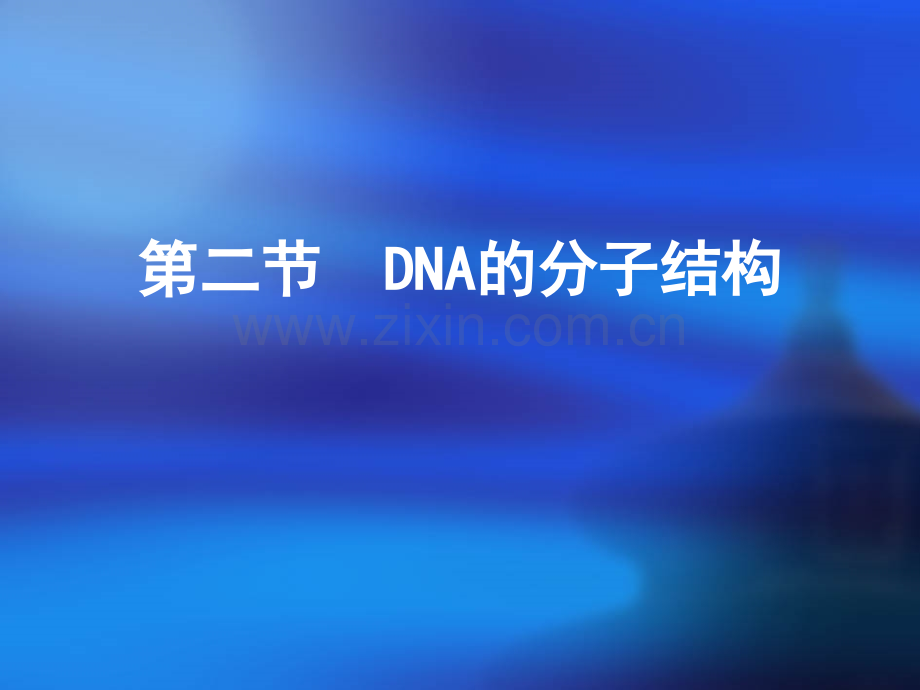 DNA的分子结构.ppt_第1页