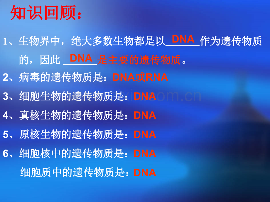 DNA的分子结构.ppt_第2页