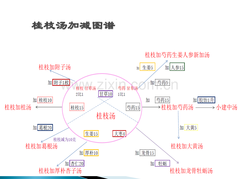 伤寒论学习五ppt课件.pptx_第3页