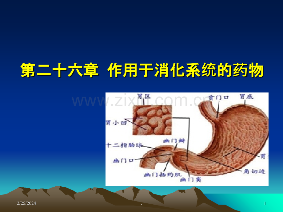 第二十六章作用于消化系统药PPT课件.ppt_第1页