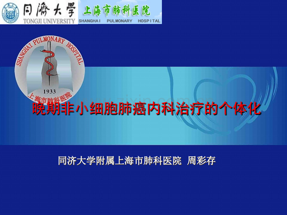 晚期非小细胞肺癌内科治疗的个体化ppt课件.ppt_第1页