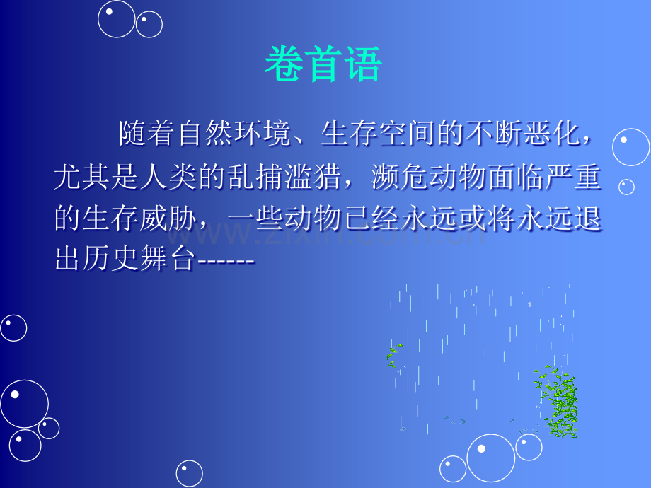 濒危动物PPT.ppt_第2页