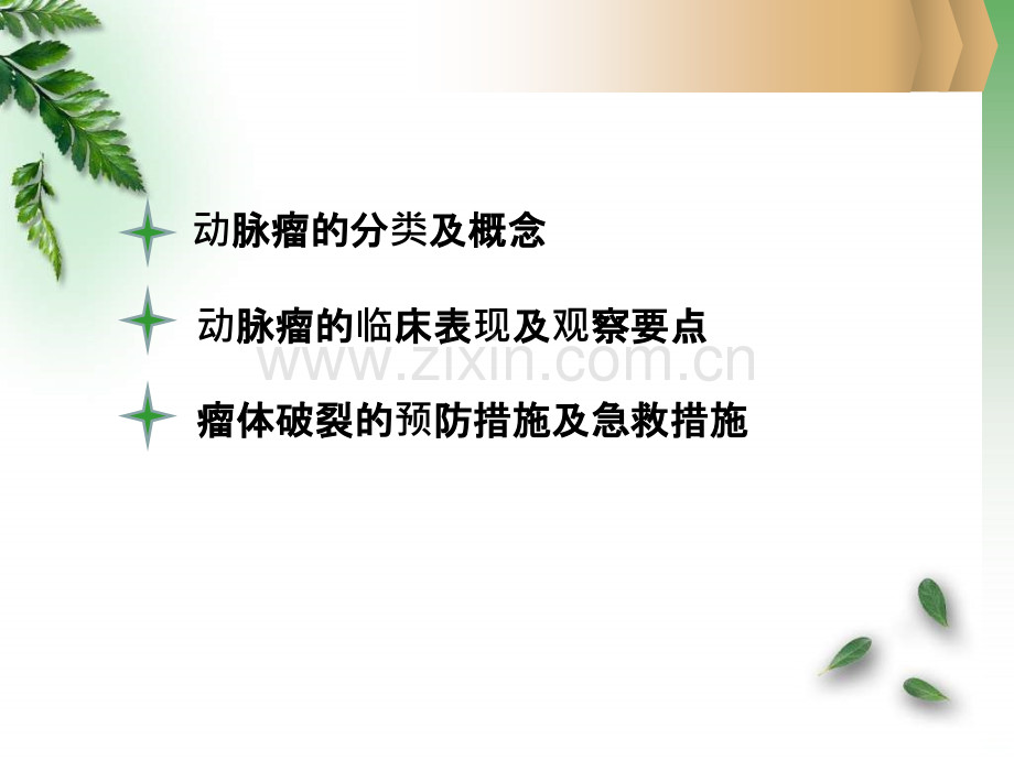 腹主动脉瘤的-护理PPT课件.ppt_第2页