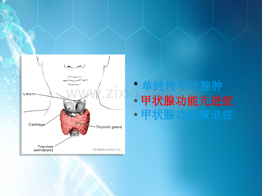 第四节-甲状腺疾病-本科ppt课件.ppt_第3页