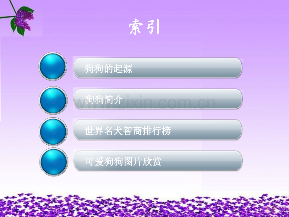 宠物狗介绍.ppt_第2页