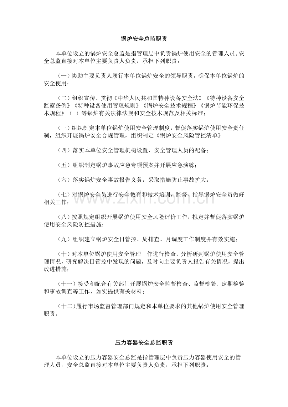 特种设备安全总监职责.docx_第1页