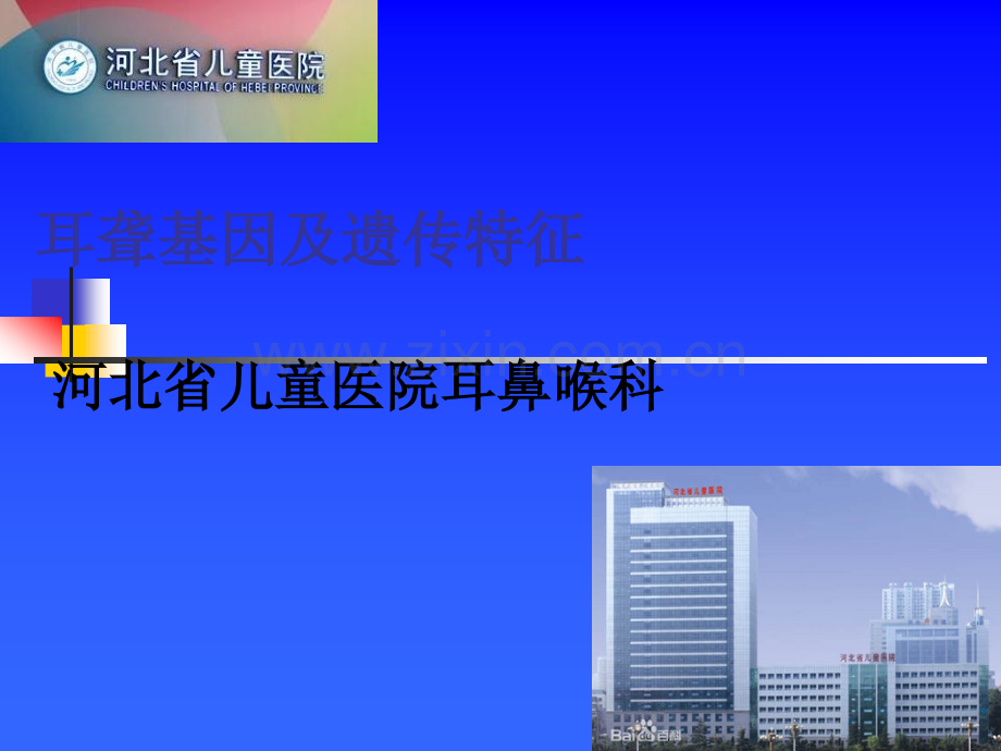 耳聋基因及遗传特征.ppt_第1页