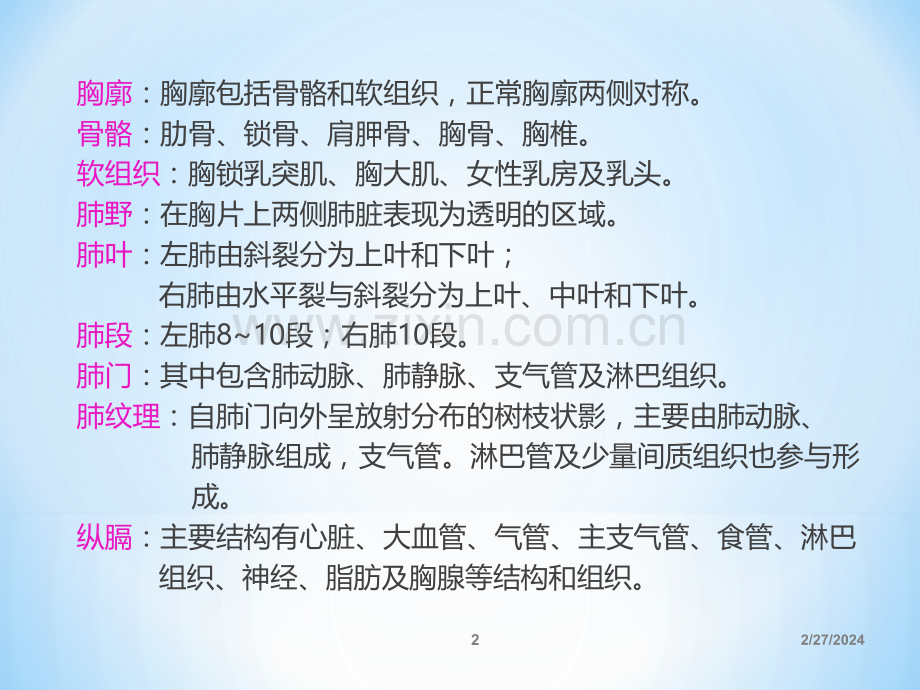 肺部解剖PPT课件.ppt_第2页