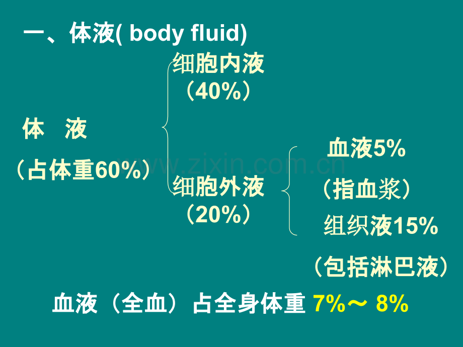 血液PPT课件.pptx_第3页