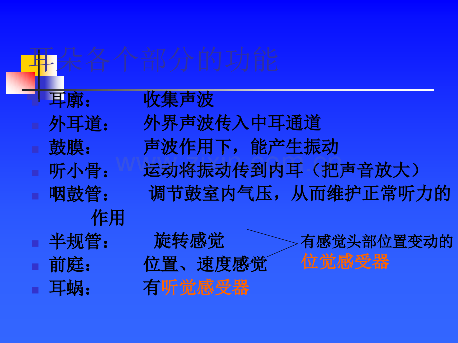 耳部检查法.ppt_第2页