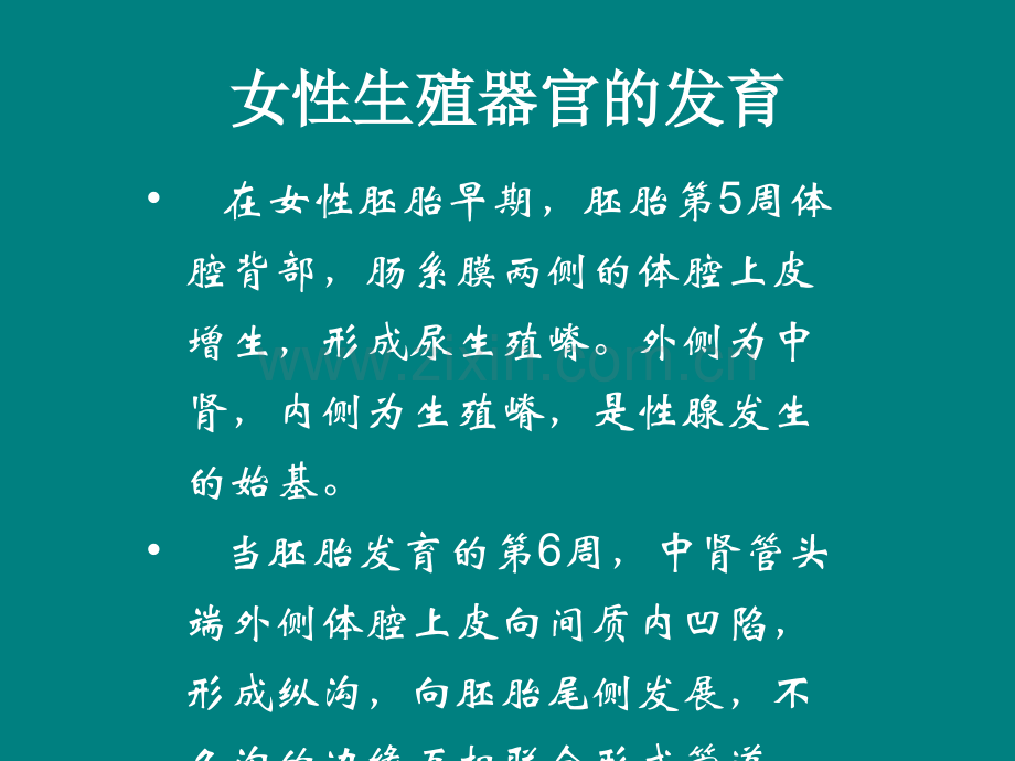 生殖器官畸形及诊治共识ppt课件.pptx_第2页