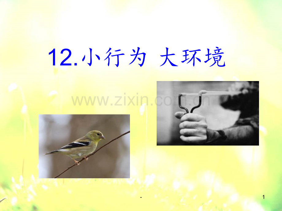 12、小行为-大环境PPT课件.ppt_第1页