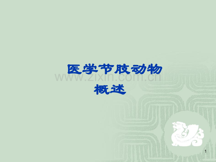 医学节肢动物概述PPT课件.ppt_第1页