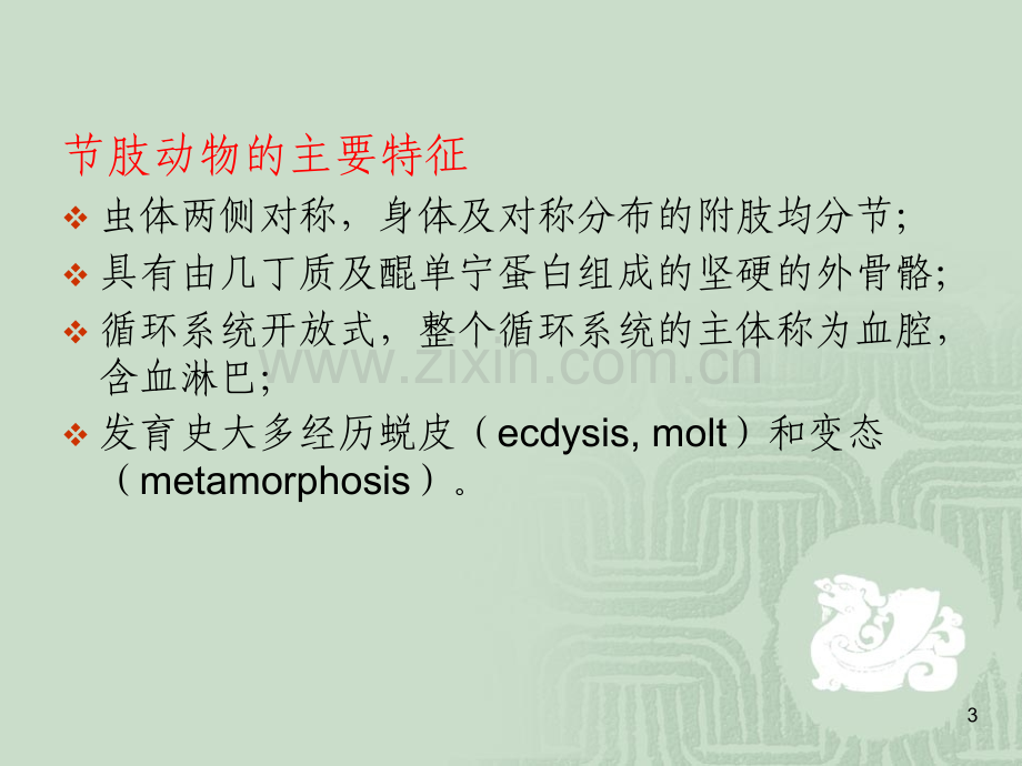 医学节肢动物概述PPT课件.ppt_第3页