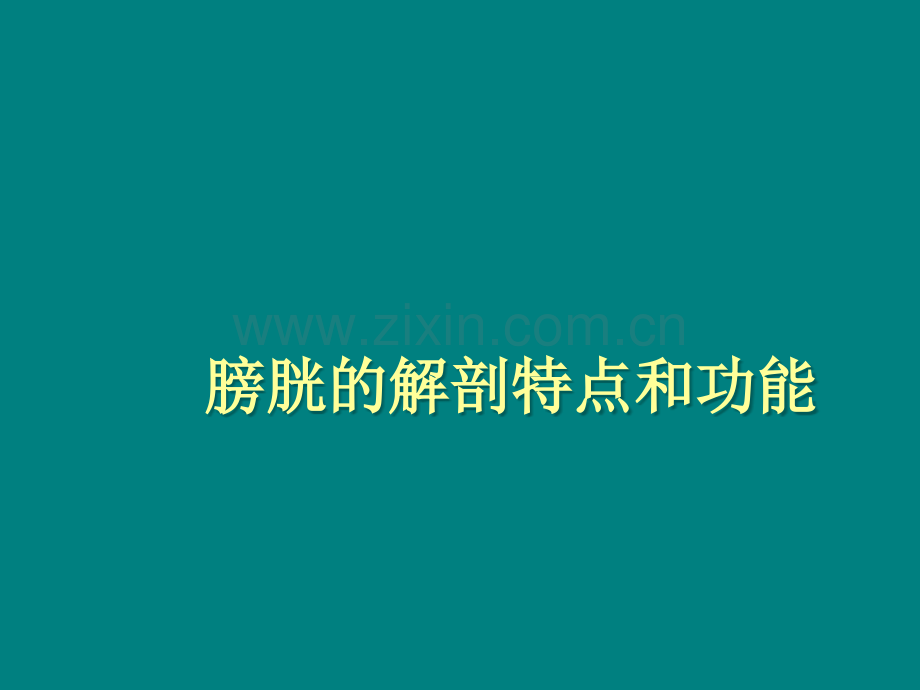 膀胱癌讲课ppt课件.ppt_第2页