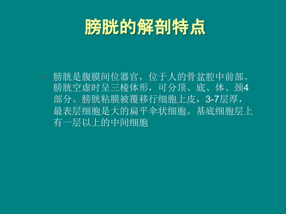 膀胱癌讲课ppt课件.ppt_第3页