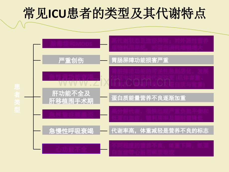 肠内营养支持ppt课件.ppt_第3页