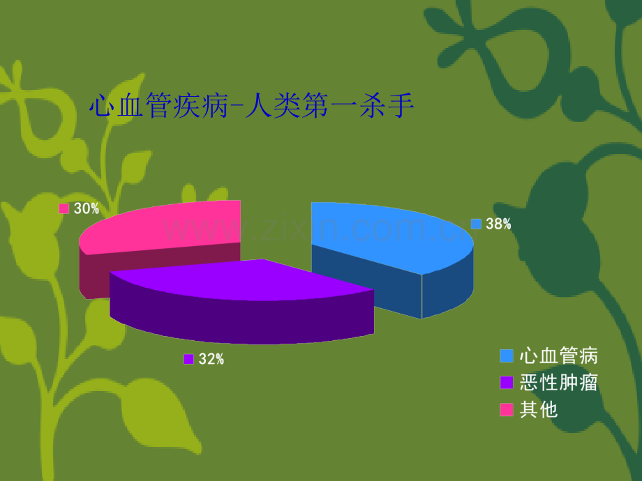 心功能不全图文并茂ppt课件.pptx_第2页