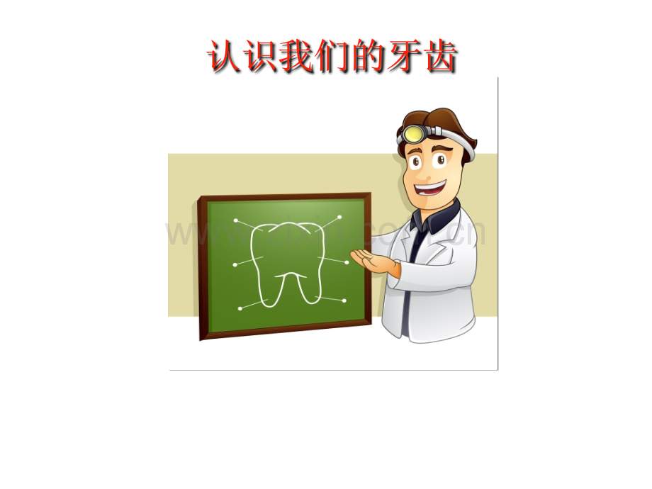 儿童口腔保健PPT11285.ppt_第2页