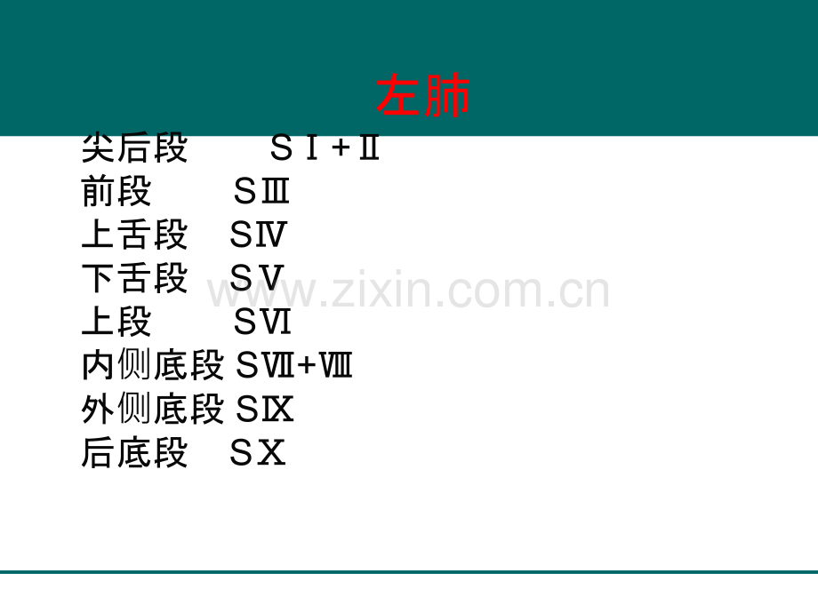 CT正常彩色解剖图谱(肺段解剖).ppt_第3页