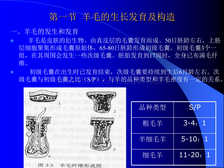 羊毛纤维的类型.ppt_第2页