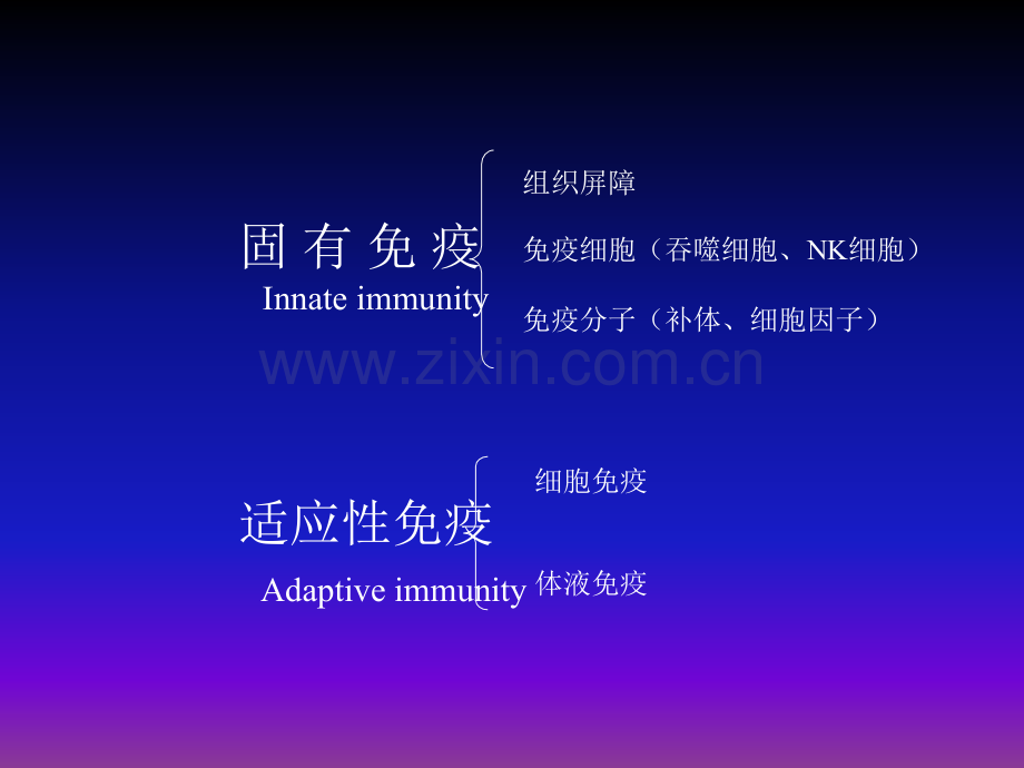 病理学ppt课件.ppt_第3页