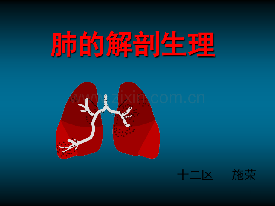 肺的解剖和生理.ppt_第1页