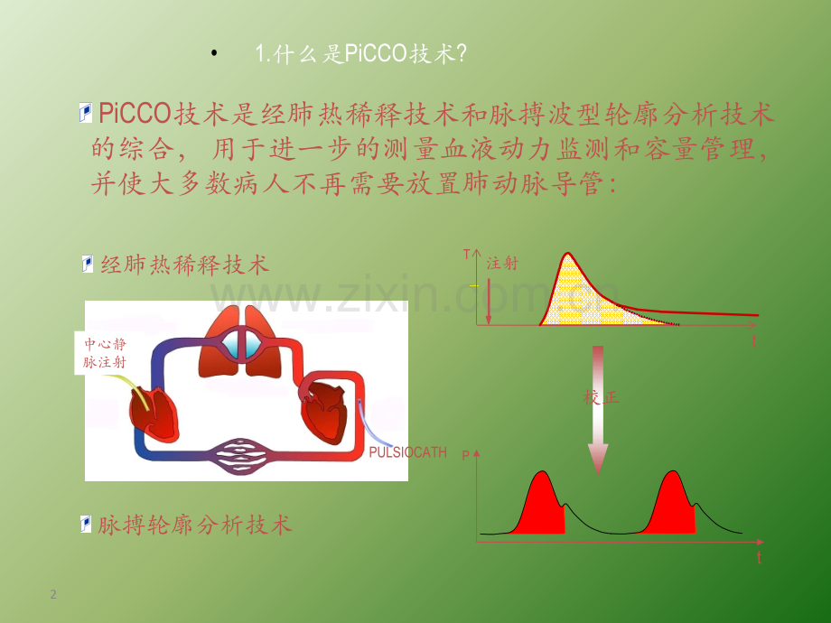 PiCCOplus详细介绍ppt课件.ppt_第2页