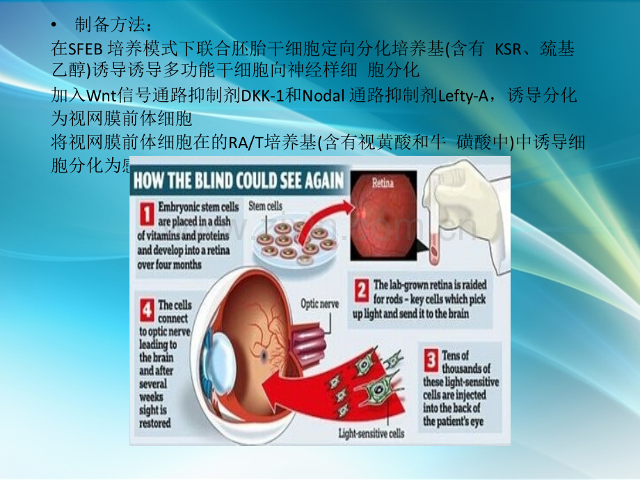 诱导干细胞前沿应用.pptx_第3页