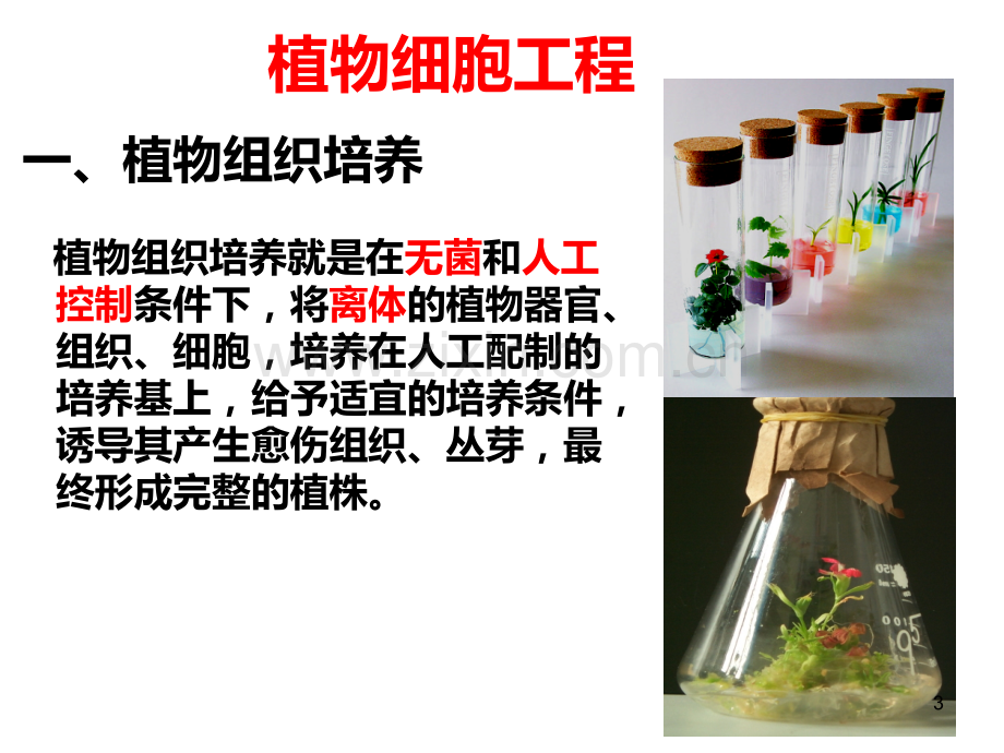 高中生物选修三-细胞工程PPT课件.ppt_第3页