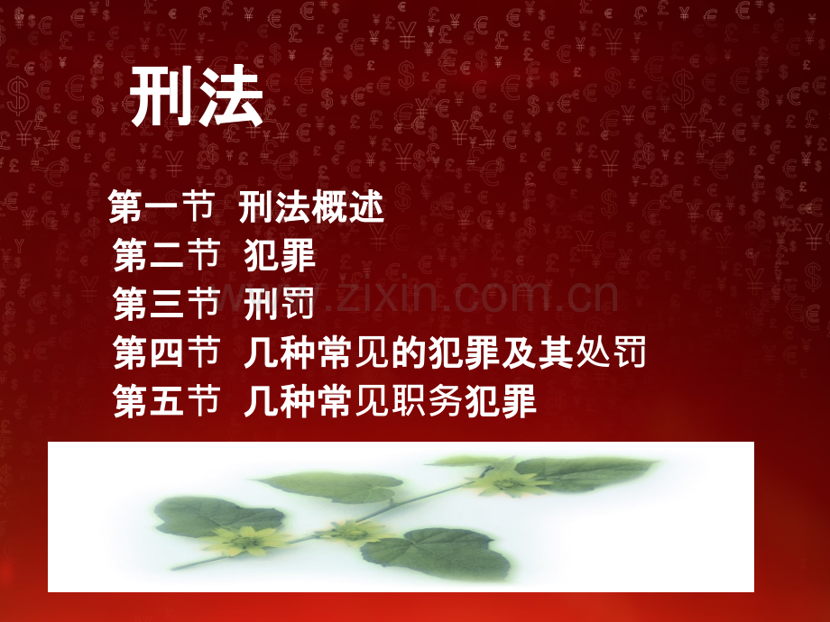 《刑法》完整课件.ppt_第2页