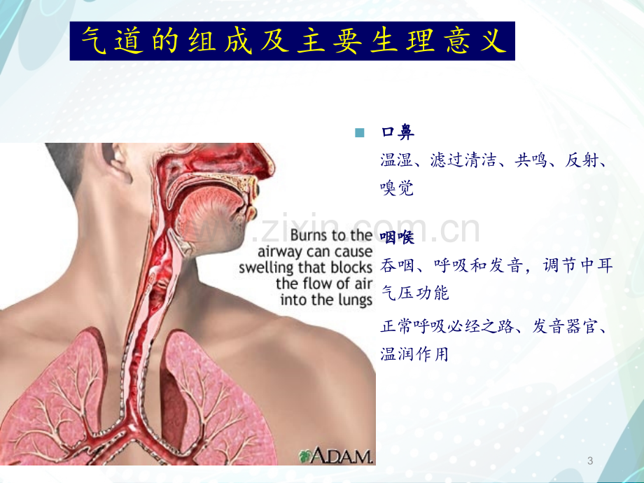 ★人工气道的建立与管理PPT课件.ppt_第3页